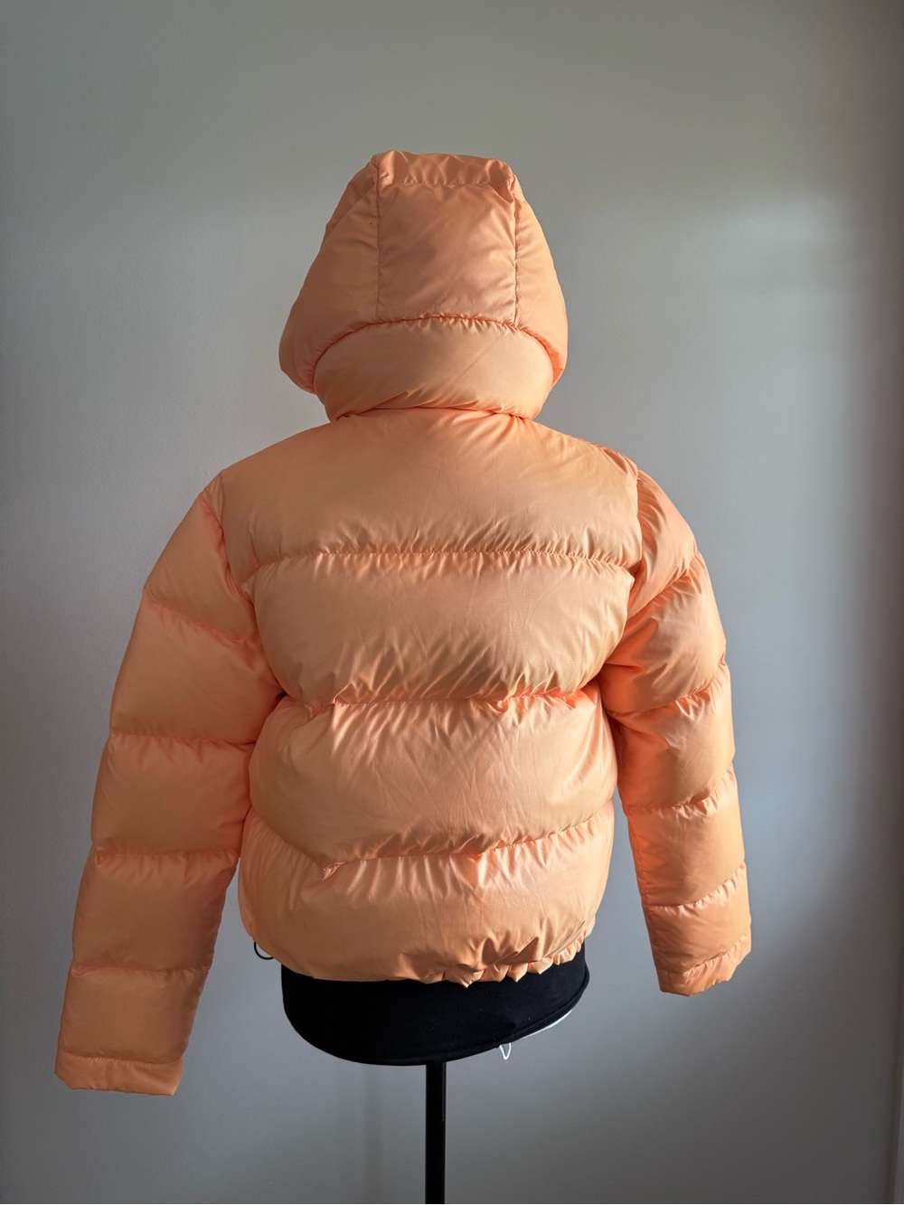 Limited Edition Aritzia THE SUPER PUFF - Picture 3 of 9